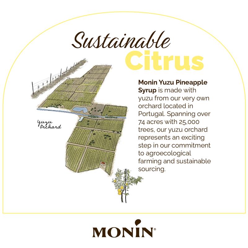 Sustainable Citrus, Monin Yuzu Pineapple Syrup is made from our own orchard located in Portugal. Spanning over 74 acres with 25,000 trees, our yuzu orchard represents an exciting step in our commitment to agroecological farming and sustainable sourcing.
