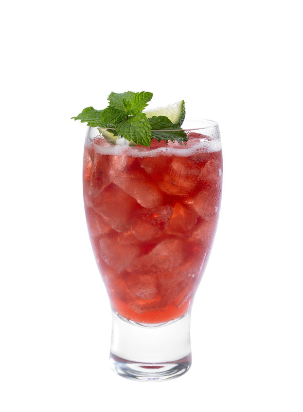 Elf Elixir - Monin US
