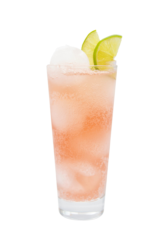 Ginger Berry Fizz Recipe - Monin US