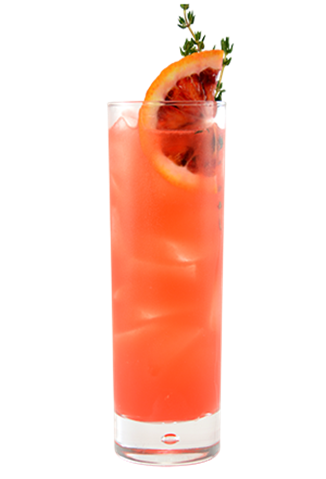 とモリン Moro Bitter Fizz - Monin US