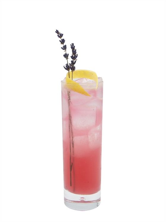 Lavender Hibiscus Highball Recipe - Monin US