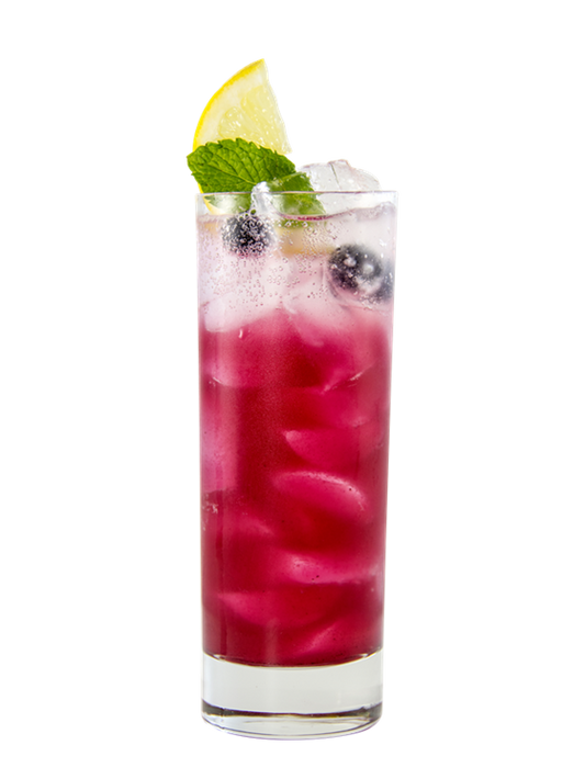 Blueberry Mojito