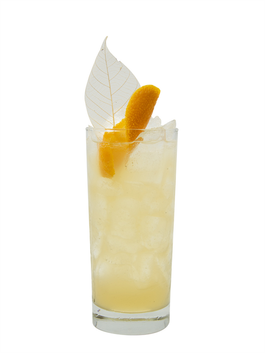 Thanksgiving Spiritless Punch