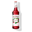 Raspberry Flavored Syrup - Monin - Monin US