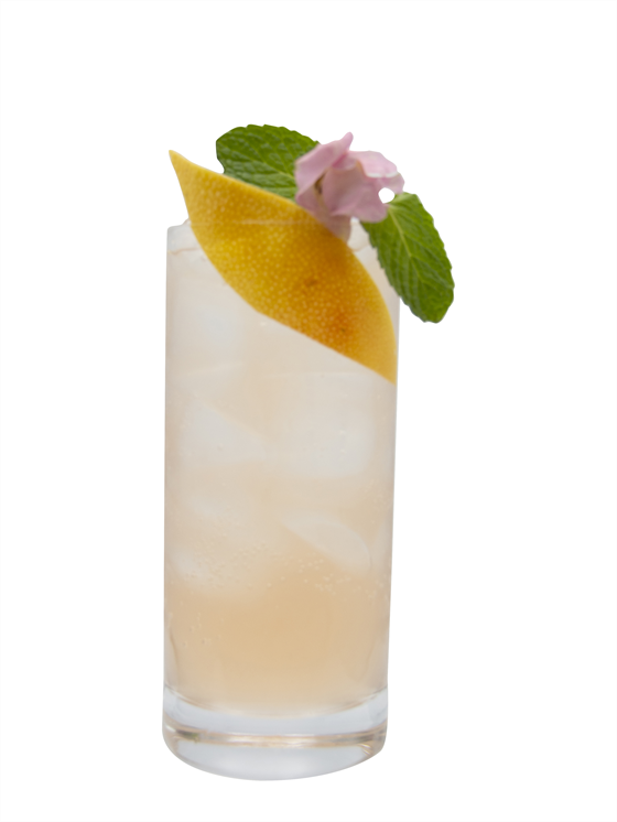 Mama Likes Recipe - Monin US