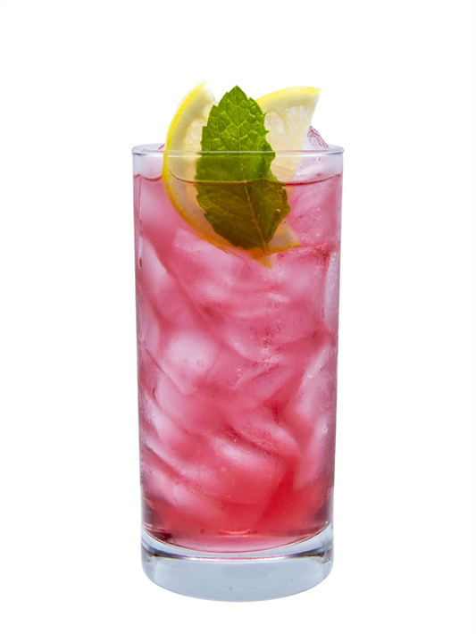 Hibiscus Vanilla Italian Soda