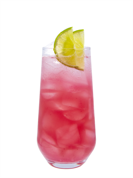 Hibiscus Sparkling Limeade