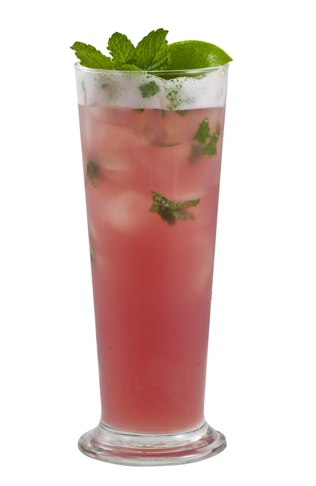 Stone Fruit Mojito – Monin US