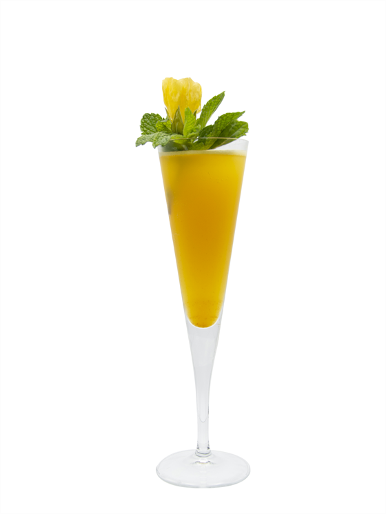 mimosa Mimosa Cocktail Mixer Set - One Amazing Find: Creative Home Market