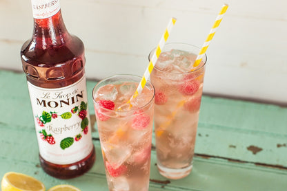 Monin Red Raspberry Raspberry Flavored Syrup - Monin - Monin US